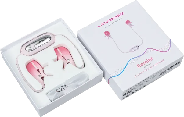 Unboxing the Gemini package